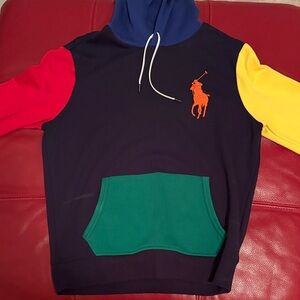 Polo Ralph Lauren Multicolor Hoodie with Embroidered Logo